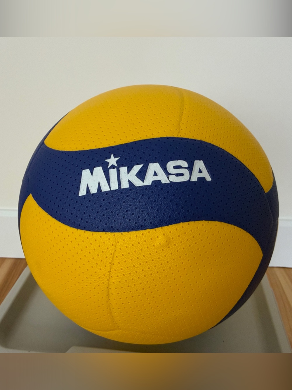 Training Volleyball Mikasa